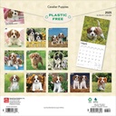 Cavalier King Charles Spaniel Puppies 2025 Square Calendar