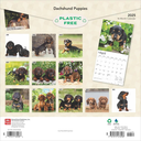 Dachshund Puppies 2025 Square Calendar