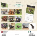 Dachshunds 2025 Square Calendar