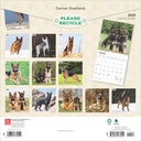 German Shepherds 2025 Square Calendar