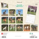 Greyhounds 2025 Square Calendar