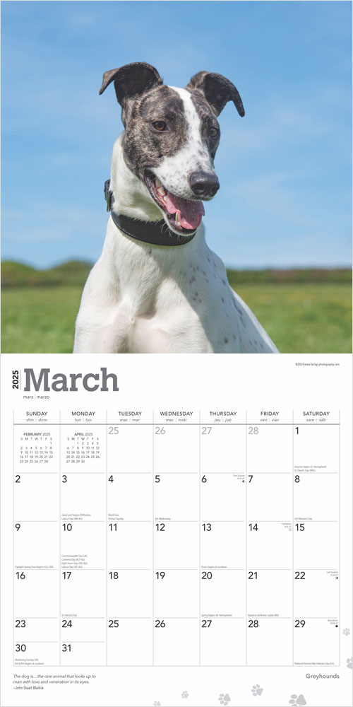 Greyhounds 2025 Square Calendar