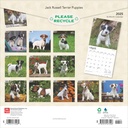 Jack Russell Terrier Puppies 2025 Square Calendar