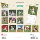 Jack Russell Terriers 2025 Square Calendar