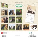 Labrador Retrievers 2025 Square Calendar