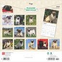 Pugs 2025 Square Calendar