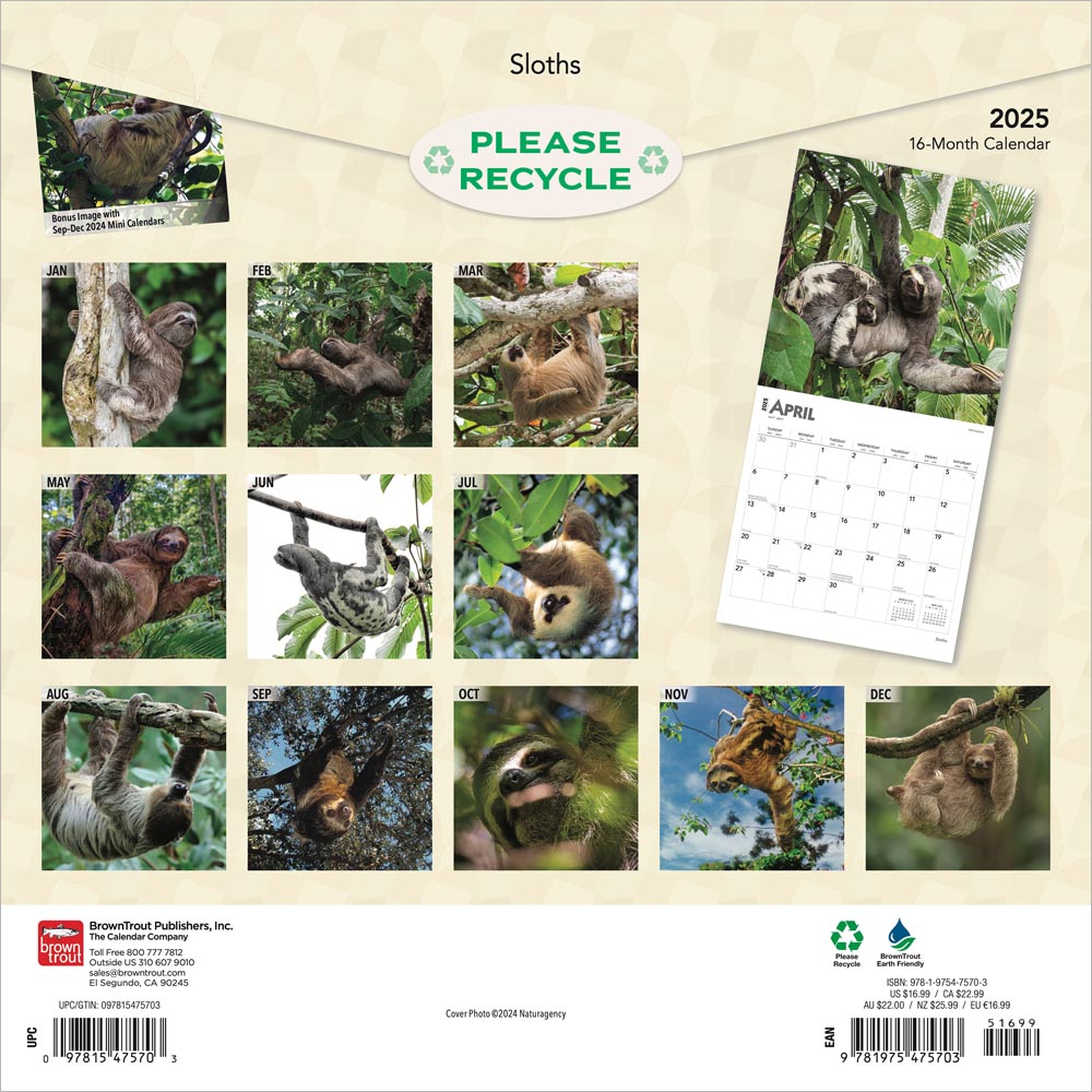 Sloths 2025 Square Calendar