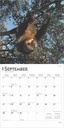 Sloths 2025 Square Calendar