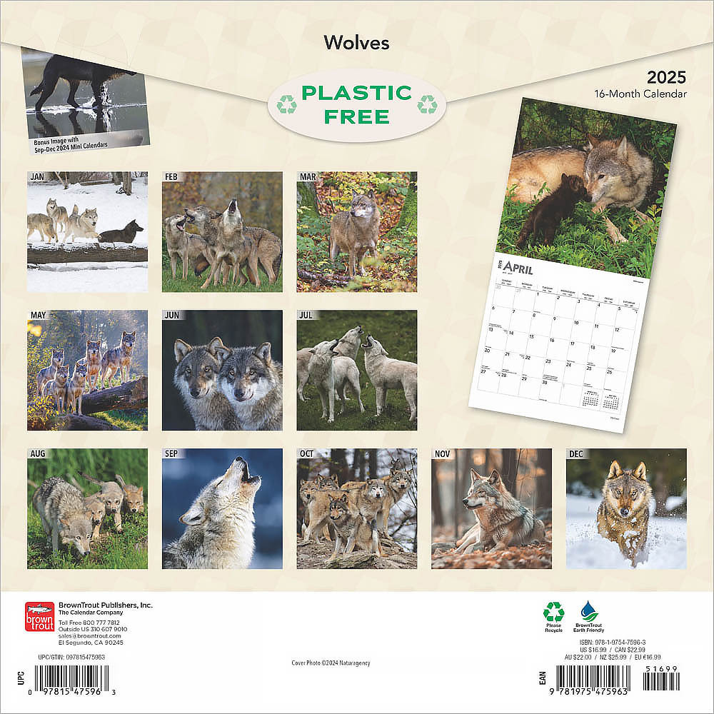 Wolves 2025 Square Calendar