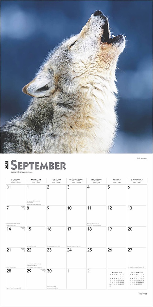 Wolves 2025 Square Calendar