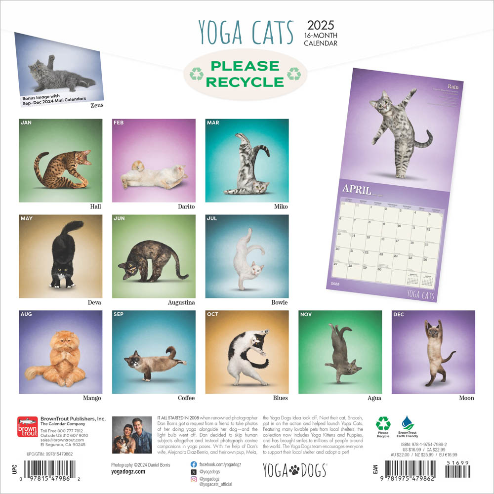 Yoga Cats 2025 Square Calendar