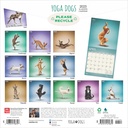 Yoga Dogs 2025 Square Calendar