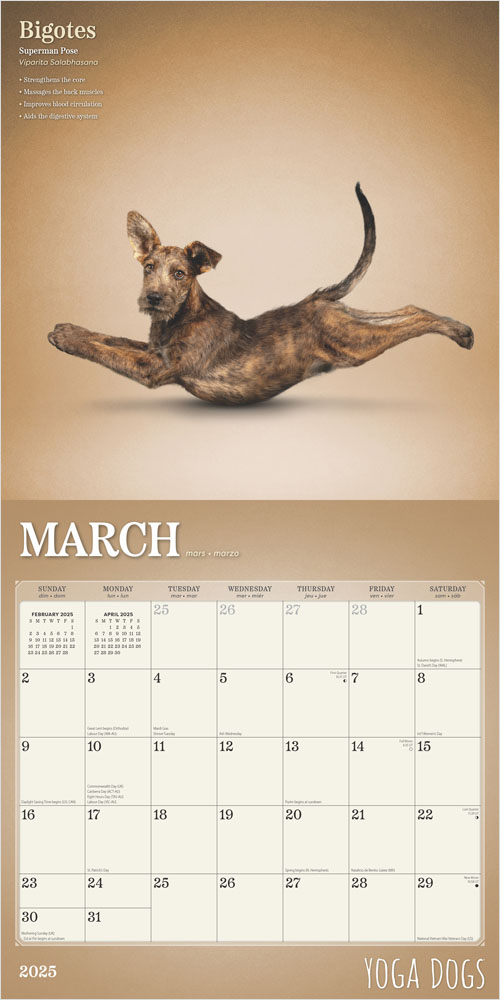 Yoga Dogs 2025 Square Calendar