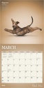Yoga Dogs 2025 Square Calendar