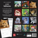 Cute Kittens 2025 Square Calendar