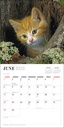 Cute Kittens 2025 Square Calendar