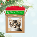 Pets Fur-st Christmas 2024 Christmas Keepsake - Hallmark