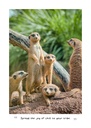 Meerkats Guide to Life 2025 Diary