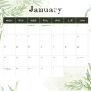 Our Australia - Flowers 2025 Calendar