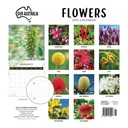 Our Australia - Flowers 2025 Calendar