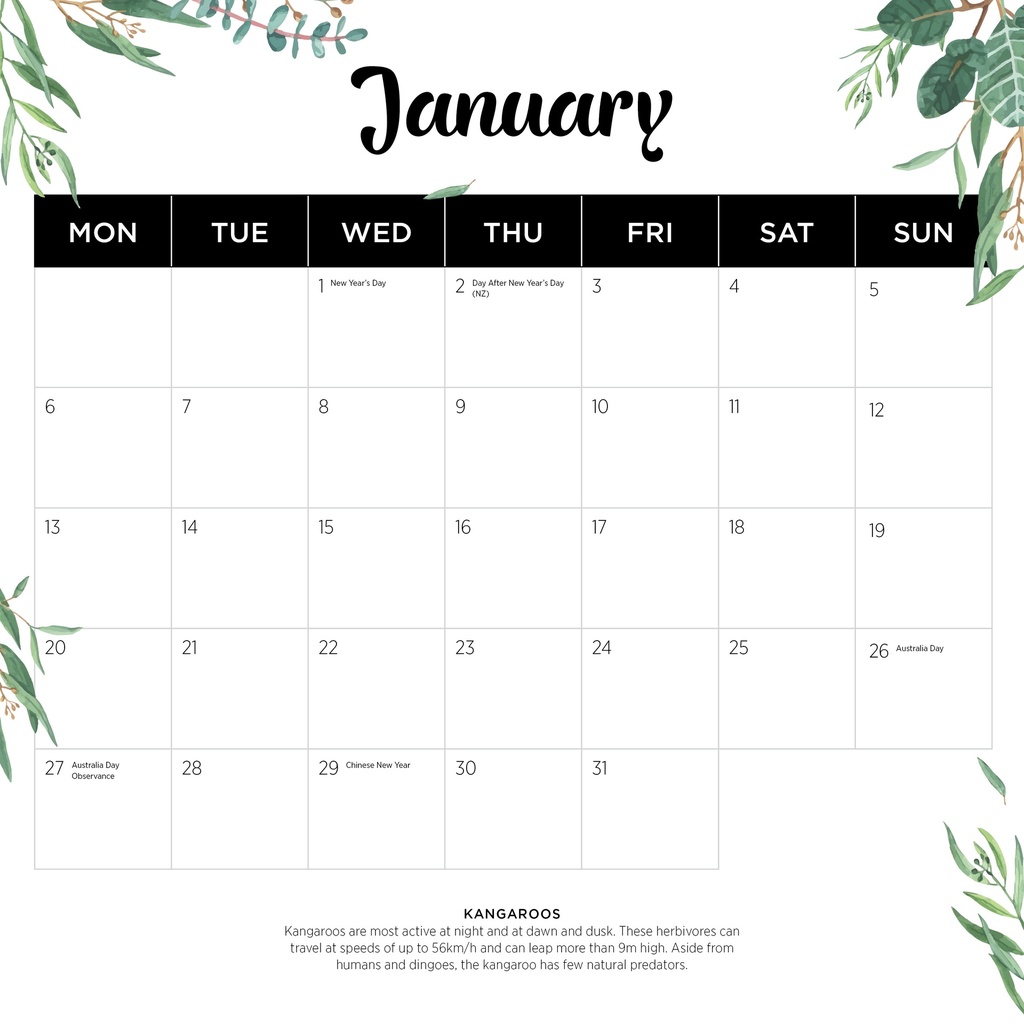 Our Australia - Native Animals 2025 Calendar