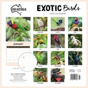 Our Australia - Exotic Birds 2025 Calendar