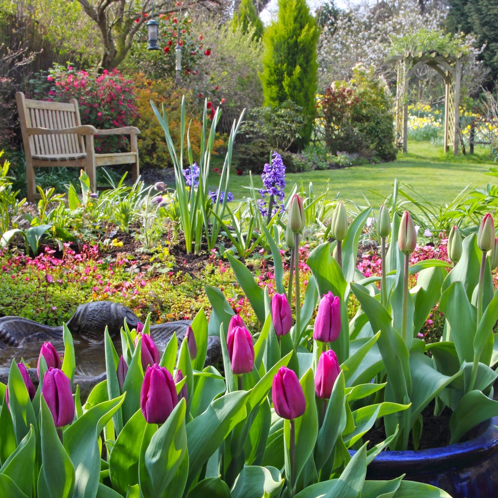 Our Australia - Life is a Garden 2025 Calendar