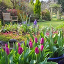 Our Australia - Life is a Garden 2025 Calendar