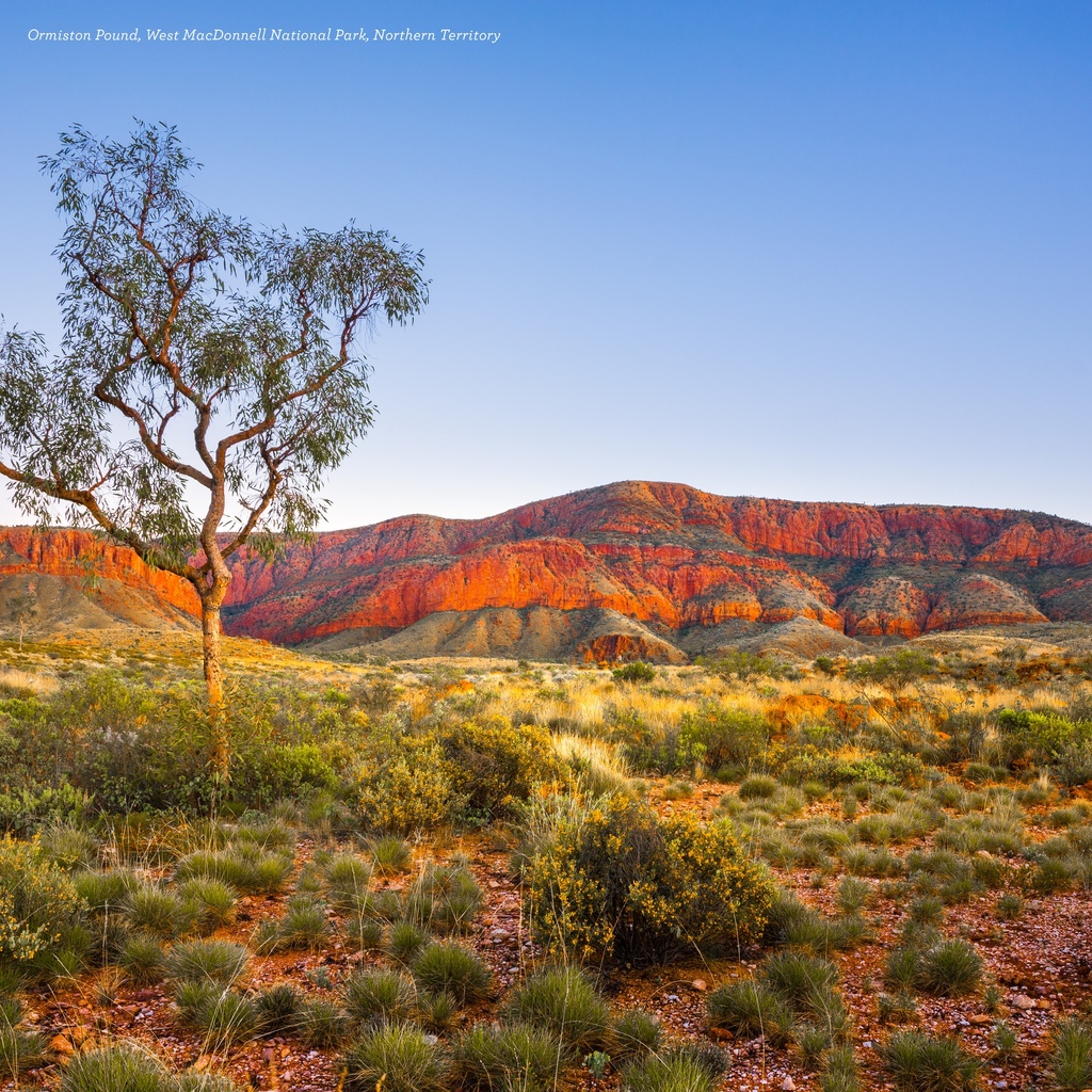 Australia's Raw Beauty 2025 Calendar
