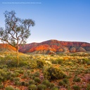 Australia's Raw Beauty 2025 Calendar