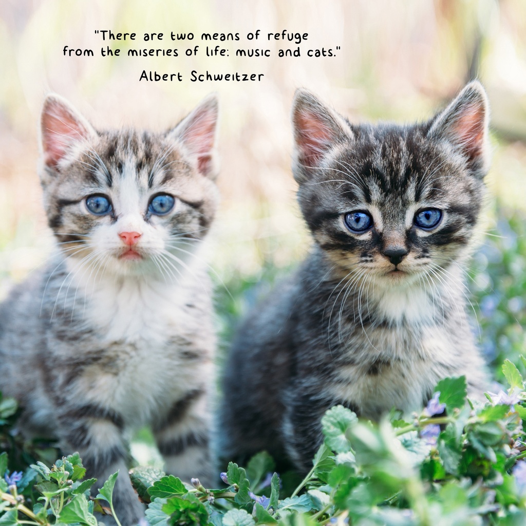 Fur Friends 2025 Calendar