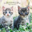 Fur Friends 2025 Calendar
