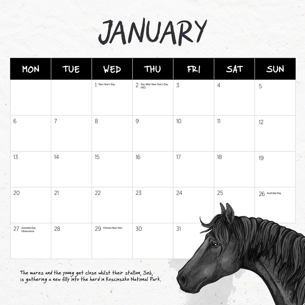 Our Australia - Wild Horses: The Brumby 2025 Calendar