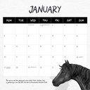 Our Australia - Wild Horses: The Brumby 2025 Calendar