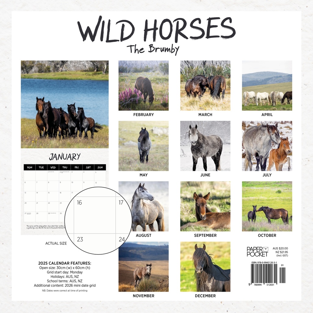 Our Australia - Wild Horses: The Brumby 2025 Calendar