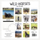 Our Australia - Wild Horses: The Brumby 2025 Calendar