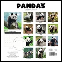 Pandas 2025 Calendar