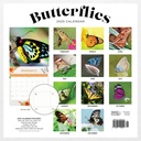 Butterflies 2025 Calendar