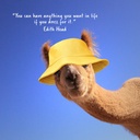 Fashion Llamas 2025 Calendar