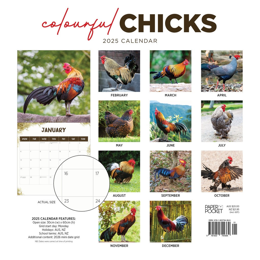 Colourful Chicks 2025 Calendar