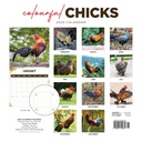 Colourful Chicks 2025 Calendar