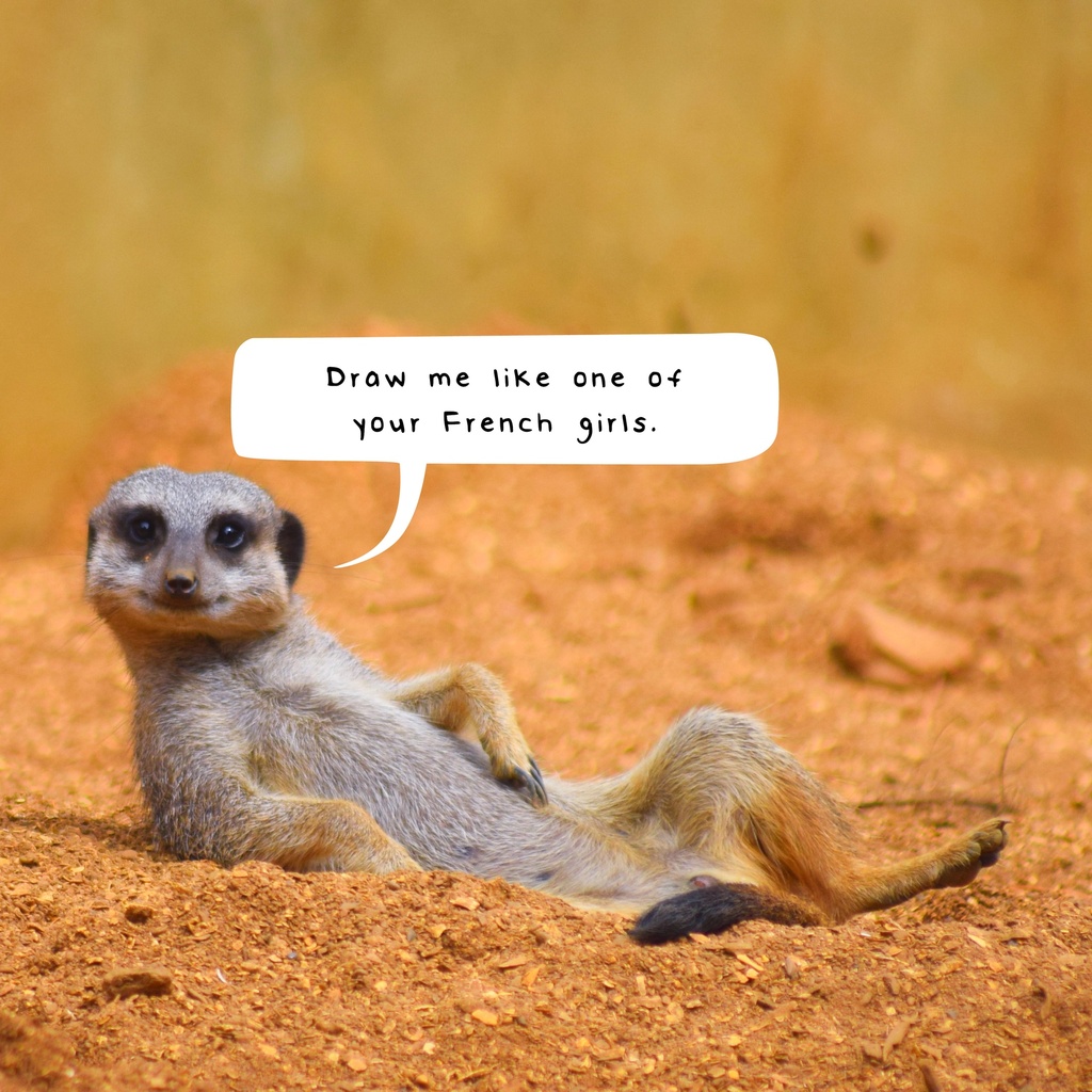 Meerkats 2025 Calendar