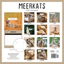 Meerkats 2025 Calendar
