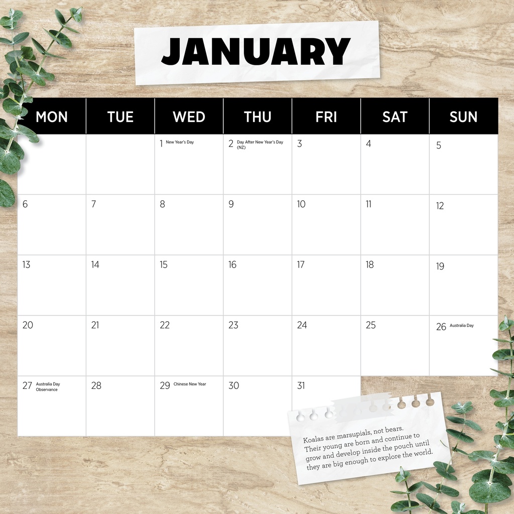 Koalas 2025 Calendar