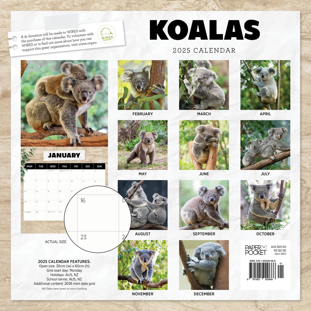 Koalas 2025 Calendar