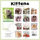 Kittens 2025 Calendar