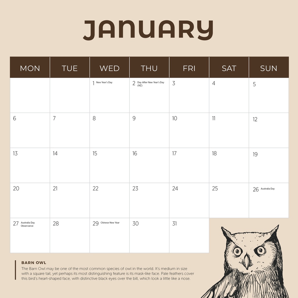 Owls 2025 Calendar