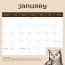 Owls 2025 Calendar