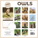 Owls 2025 Calendar