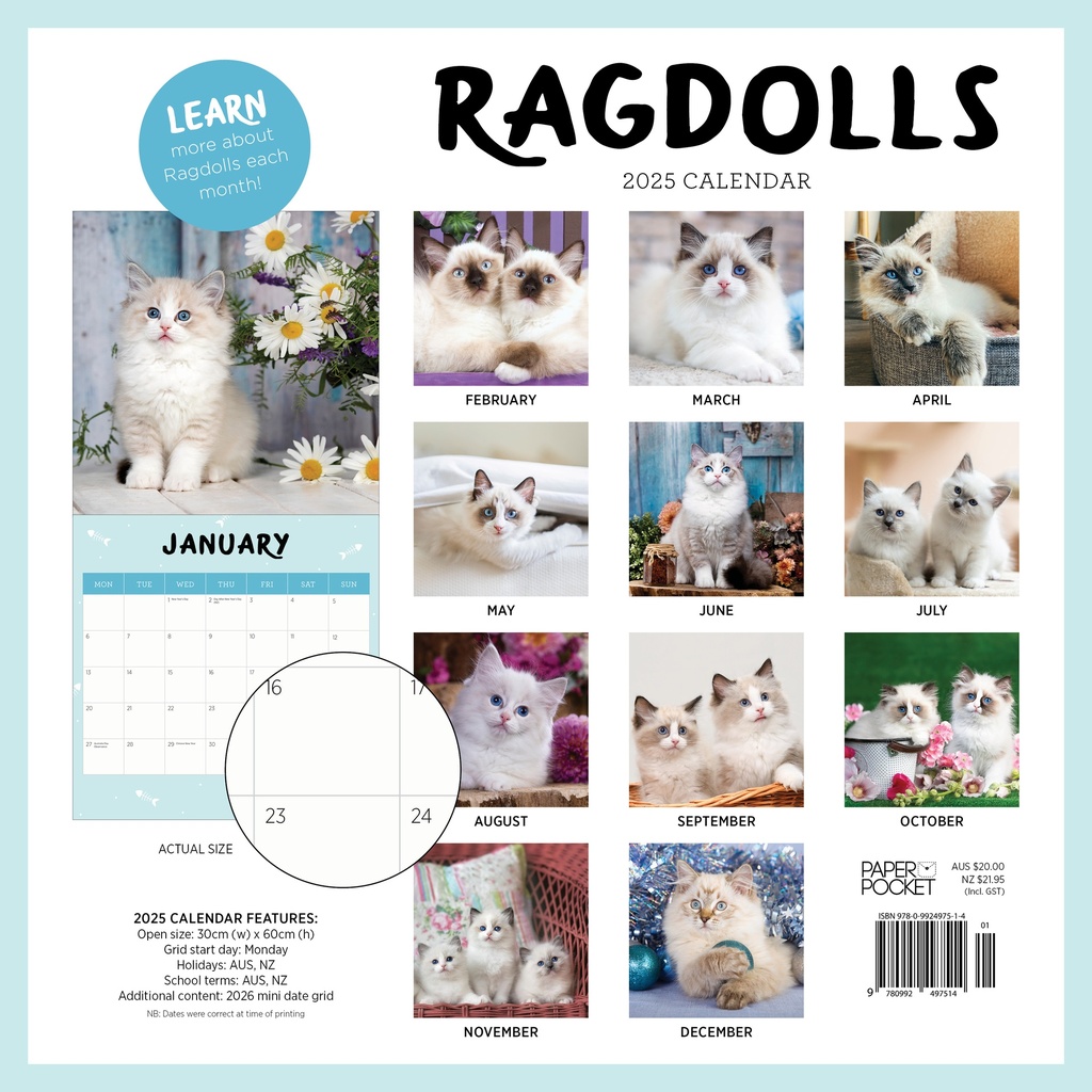 Ragdolls 2025 Calendar